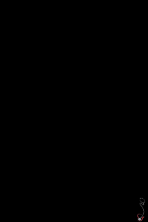 Nasrin Nasrin