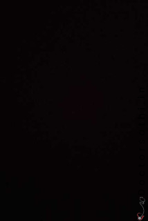 DS517